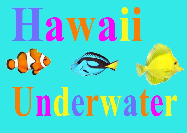 jpegs/hawaii-underwater.jpg